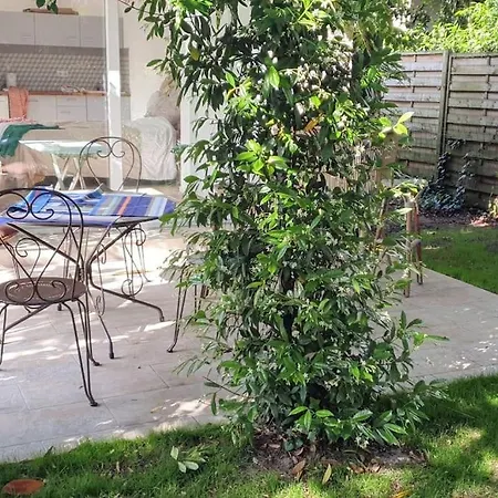 Avec Terrasse Et Tonnelle Apartament